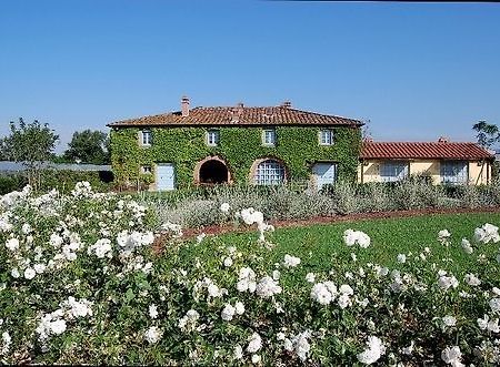 Residenza Ca De Frati Villa Arezzo Dış mekan fotoğraf